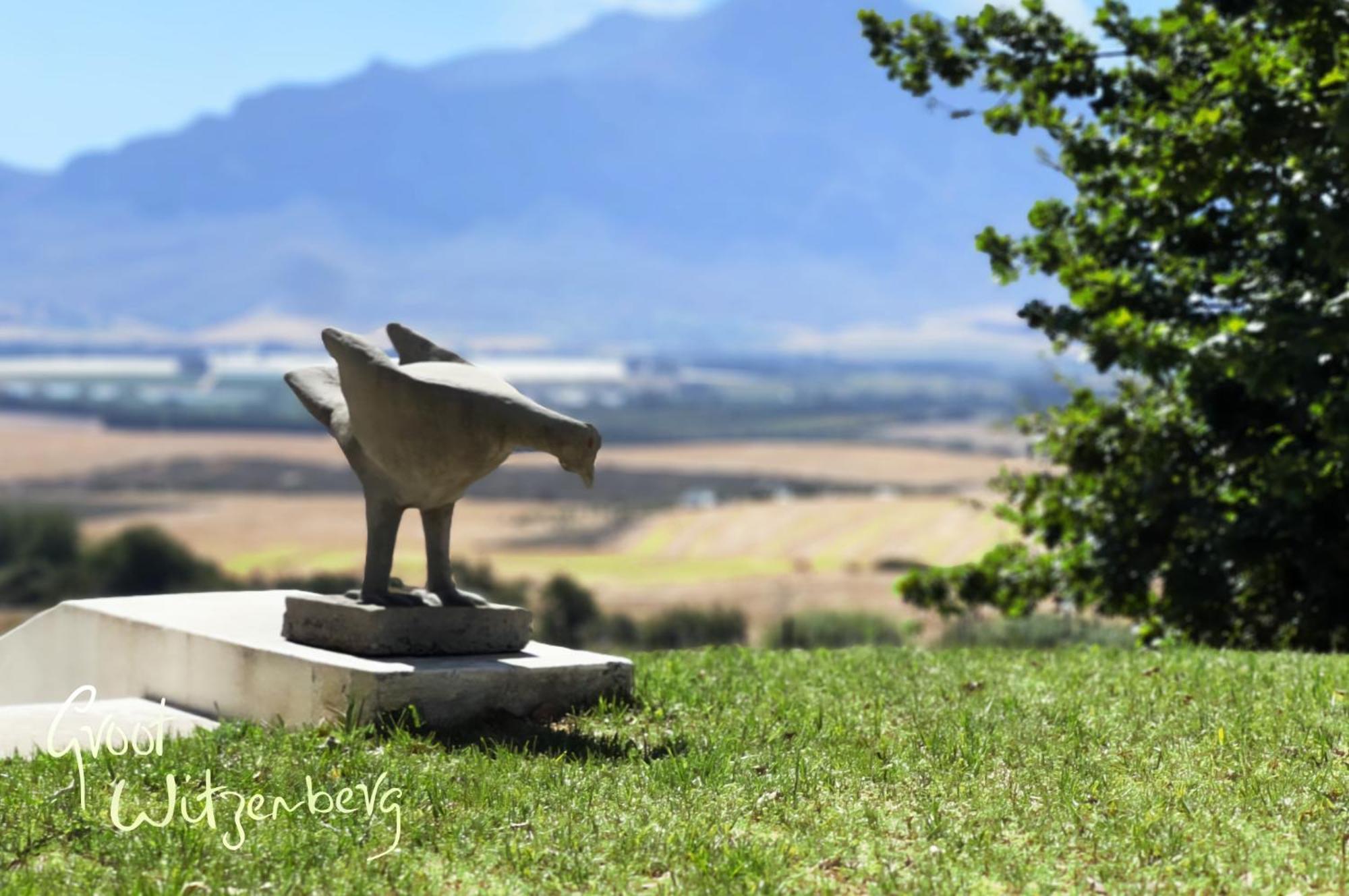 Groot Witzenberg - Beautiful Manor House In The Picturesque