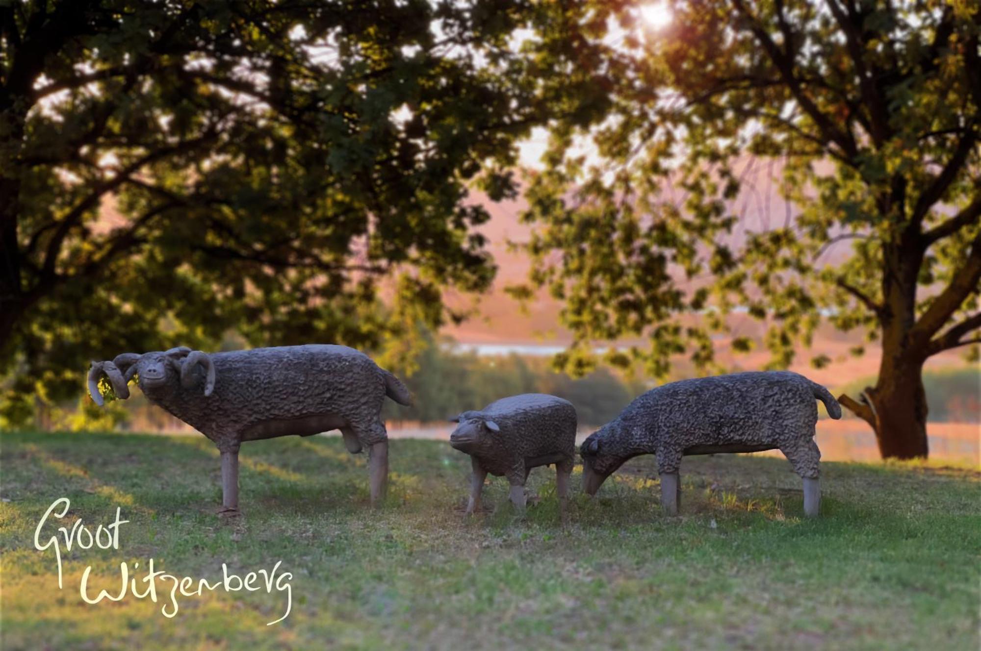 Groot Witzenberg - Beautiful Manor House In The Picturesque